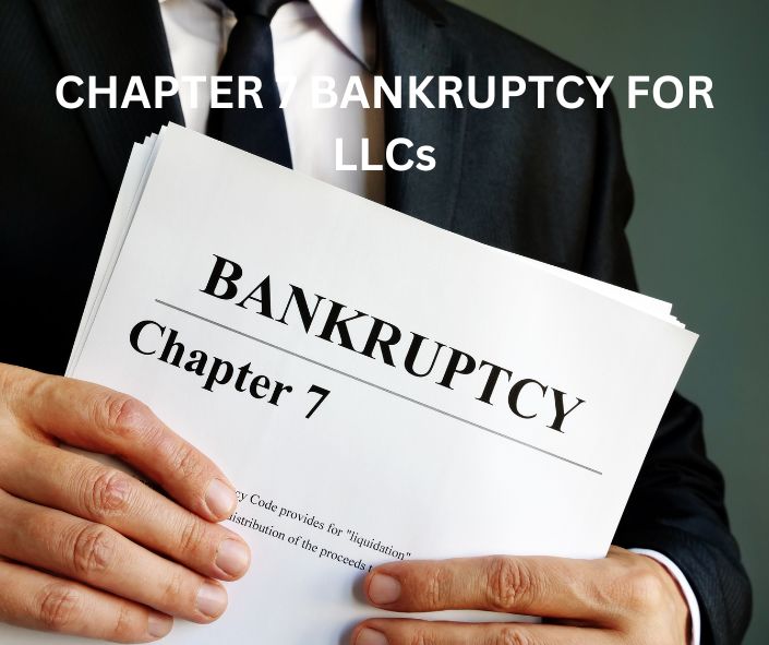 chapter 7 bankrutpcy for llc